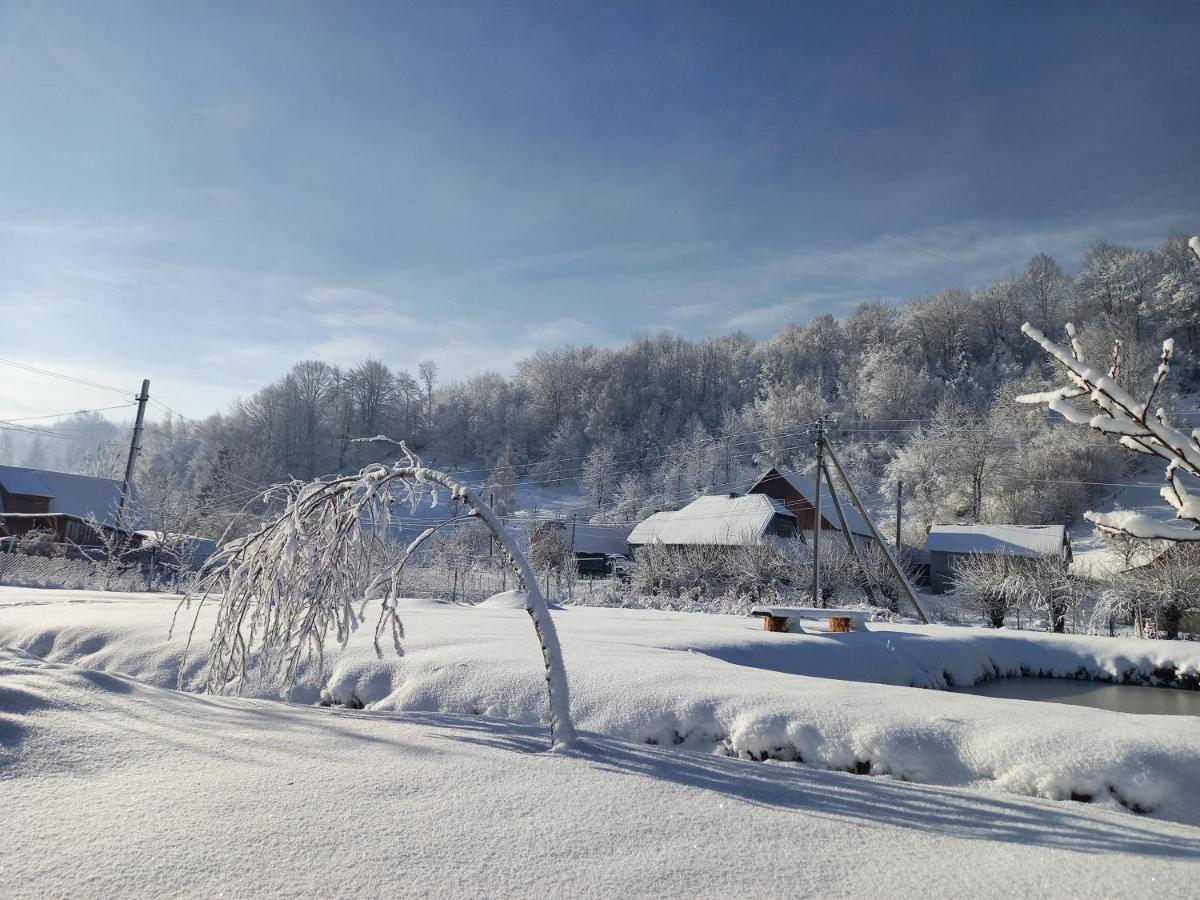Садиба Райський Куточок Synevyr Bagian luar foto