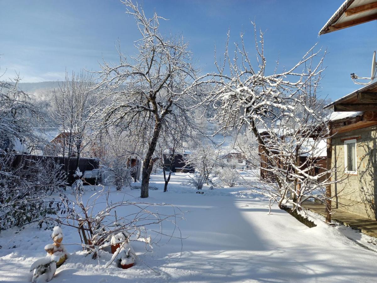 Садиба Райський Куточок Synevyr Bagian luar foto